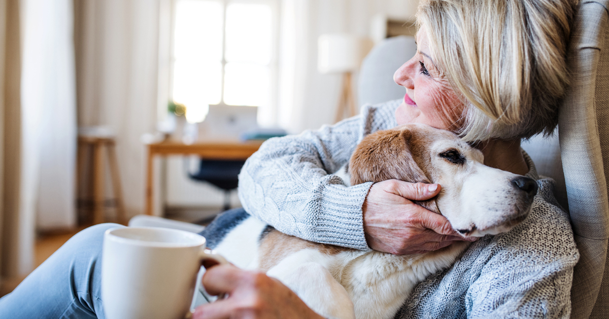 The Health Benefits of Pets | El Camino Health