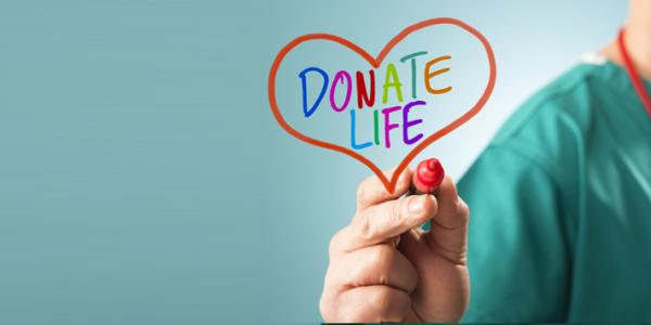 Questions About Organ Donation? We Have the Answers. | El Camino Health