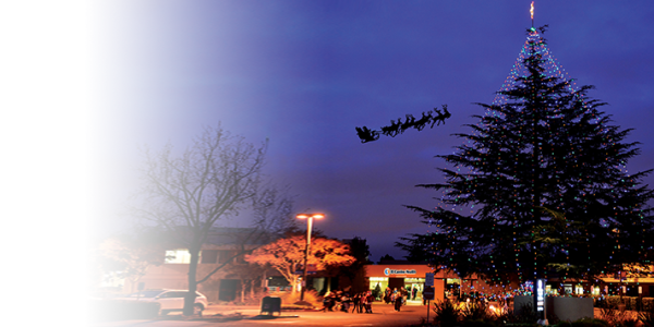 Annual Tree Lighting Includes Los Gatos Neighbors