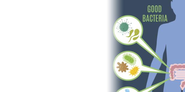 Gut Check: Where Healthy Habits Can Start Gut Check: Where Healthy Habits Can Start