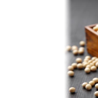 Does Soy Cause Cancer? Understand the Facts
