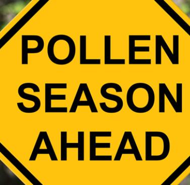 Spring Allergy Tips