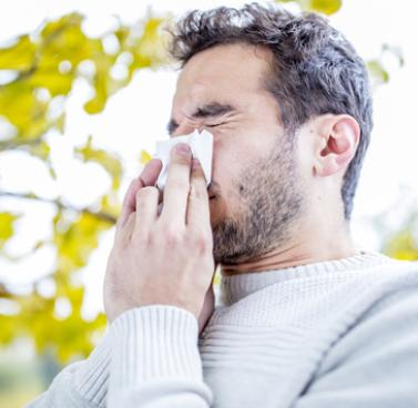 Practical Advice for Allergy Sufferers